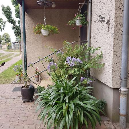 Ferienwohnung Siebmann Neuruppin Extérieur photo