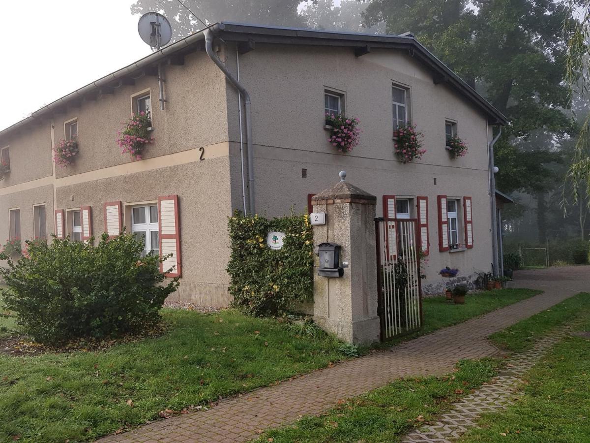 Ferienwohnung Siebmann Neuruppin Extérieur photo