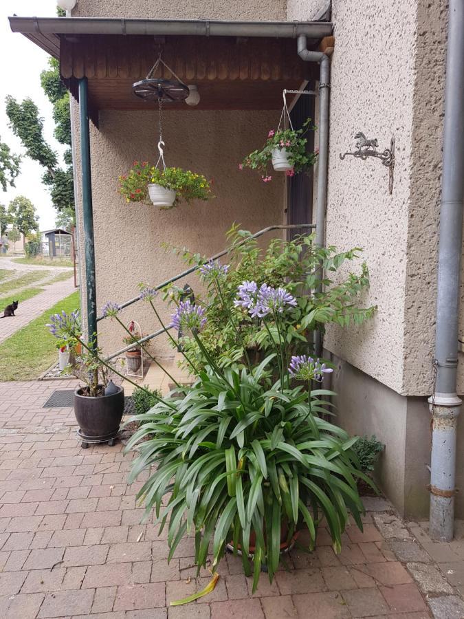 Ferienwohnung Siebmann Neuruppin Extérieur photo
